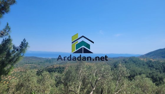 KAZDAĞLARINDA YAPI KAYIT BELGELİ 4600 M2 ZEYTİNLİK